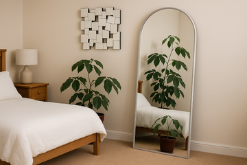 Dome Mirror - Wall Mounted